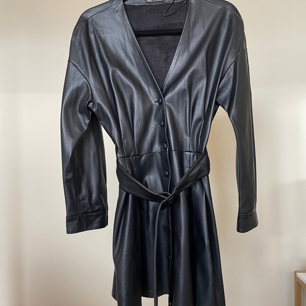 Zara Fit & Flare Leather Dress